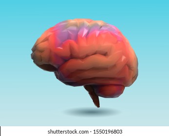 Low poly multi color orange brain with 3D shading style illustration isolated on light blue background