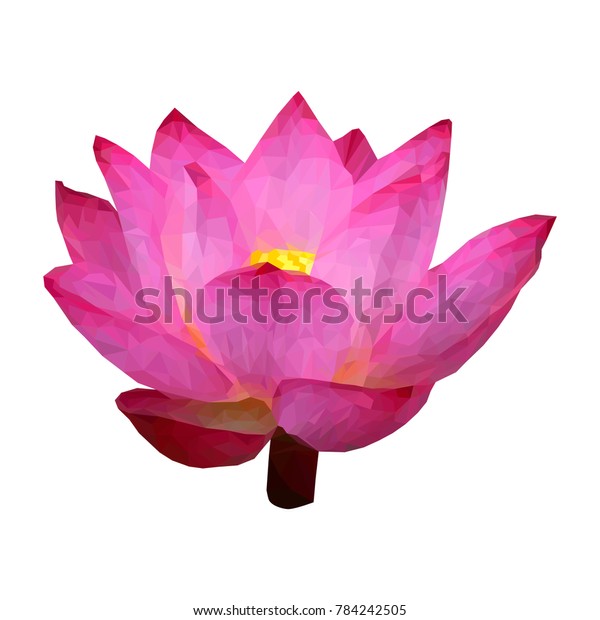 Low Poly Origami Lotus Pink Water Stock Vector Royalty Free