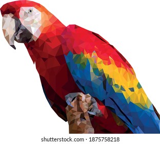 arte de modelo de loro de polos bajos