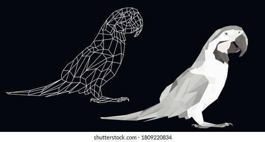 low poly parrot vector model