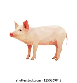 Low poly pig on white background. Vector illustration.