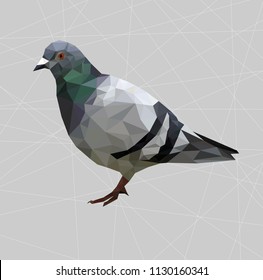  Low poly pigeon bird on gray back ground,animal geometric concept,Abstract vector