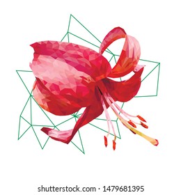 Low Poly Pink Lily with Abstract Green Triangles on White Background