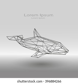 Low poly plexus forming a marine mammal.