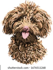 Low poly portrait of little cute poodle puppy in natural colors. Vector stock illustration of pet, animal art, curly dog. Can be used for poster, banner.