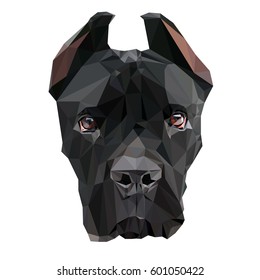 Low Poly. Portrait of a puppy Cane Corso