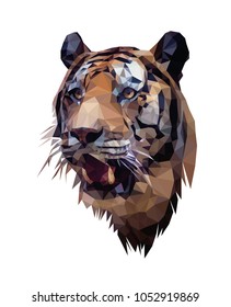Low poly portrait of tiger. Tiger's head. Vector and illustration