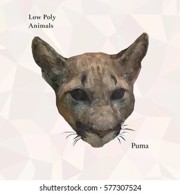 Low poly puma portrait. Vector polygonal illustration. Collection of triangle animals. Realistic image