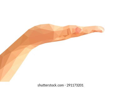 Low Poly Right Hand Open Hand Isolated Empty