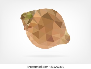 Low Poly Sapote fruit