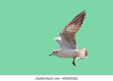low poly of seagull on blue mint color background