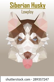 the low poly of siberian husky.  low poly of wolf.