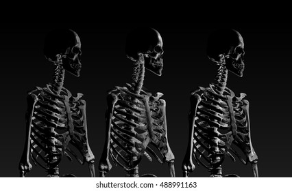 Low poly skeleton portrait side view in low key lighting fade away