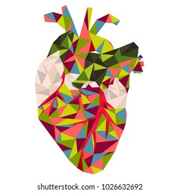 Low poly style. Anatomical heart in red, blue and white colors on the white background.