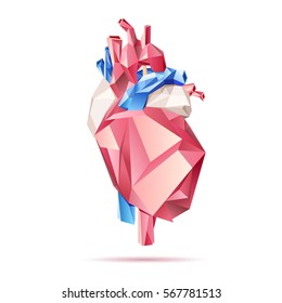 Low poly style isolated anatomical heart in red, blue and white colors on the white background.  Vector illustration.