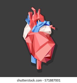 Low poly style isolated anatomical heart in red, blue and white colors on the gray background.  Vector illustration.