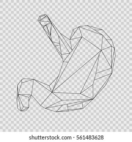 Low poly style isolated line stomach in black color on the checkered background. Vector illustration.