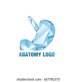Low poly style isolated stomach in shades of blue and turquoise colors. Logo with low poly stomach. Vector illustration.
