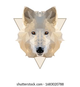 Low poly styled vector image of arctic wolf.
