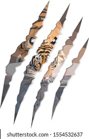 Low Poly Tiger Drinking Water Inside Of Claw Marks Illustration