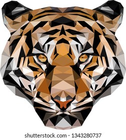 Low Poly Tiger vector/illustration