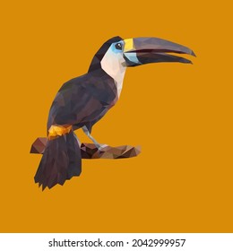 Low poly toucan bird illustration design
