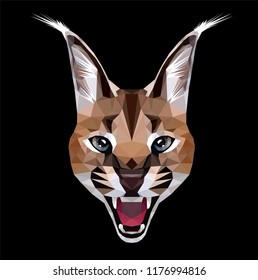 Low poly triangular caracal (lynxlike cat) face on black background, symmetrical vector illustration EPS 10 isolated.  Polygonal style trendy modern logo design. Suitable for printing on a t-shirt.