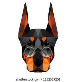 Low poly triangular dog doberman face spectacled on white background, symmetrical vector illustration EPS 10 isolated.  Polygonal style trendy modern logo design. Suitable for printing on a t-shirt.