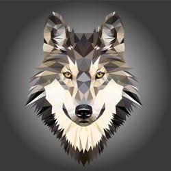 Low Poly Triangular Dog Wild Wolf Face On Grey Background, Symmetrical Vector Illustration EPS 10 Isolated.  Polygonal Style Trendy Modern Logo Design. Suitable For Printing On A T-shirt.
