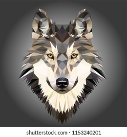 Low poly triangular dog wild wolf face on grey background, symmetrical vector illustration EPS 10 isolated.  Polygonal style trendy modern logo design. Suitable for printing on a t-shirt.