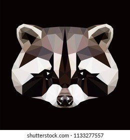 Low poly triangular raccoon face on black background, symmetrical vector illustration EPS 10 isolated.  Polygonal style trendy modern logo design. Suitable for printing on a t-shirt.