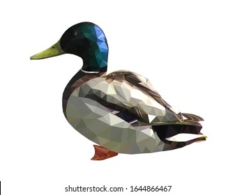 Low poly triangular single mallard duck drake on white background, vector illustration isolated.  Polygonal style trendy modern logo design. Suitable for printing on a t-shirt.