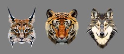 Low Poly Triangular Tiger, Lynx And Wolf Heads On Grey Background, Vector Illustration EPS10 Isolated.  Polygonal Style Trendy Modern Logo Design. Suitable For Printing On A T-shirt.