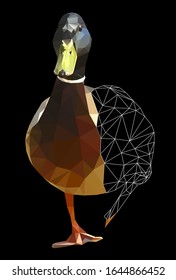 Low poly triangular and wireframe duck on black background, vector illustration isolated.  Polygonal style trendy modern logo design. Suitable for printing on a t-shirt.