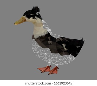 Low poly triangular and wireframe duck on grey background, vector illustration isolated.  Polygonal style trendy modern logo design. Suitable for printing on a t-shirt.