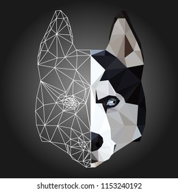 Low poly triangular and wireframe husky dog face on dark background, symmetrical vector illustration EPS 10 isolated.  Polygonal style trendy modern logo design. Suitable for printing on a t-shirt.