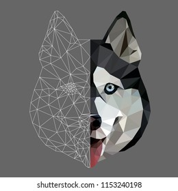 Low poly triangular and wireframe  husky dog face on grey background, symmetrical vector illustration EPS 10 isolated.  Polygonal style trendy modern logo design. Suitable for printing on a t-shirt.
