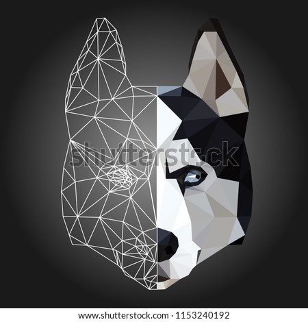 Low poly triangular and wireframe husky dog face on dark background, symmetrical vector illustration EPS 10 isolated.  Polygonal style trendy modern logo design. Suitable for printing on a t-shirt.