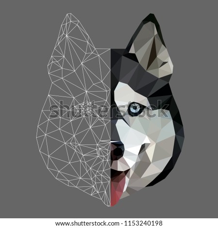 Low poly triangular and wireframe  husky dog face on grey background, symmetrical vector illustration EPS 10 isolated.  Polygonal style trendy modern logo design. Suitable for printing on a t-shirt.