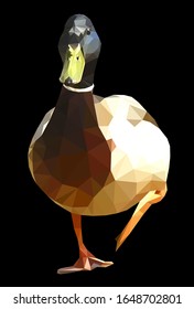 Low poly triangular and wireframe mallard duck drake on black background, vector illustration isolated.  Polygonal style trendy modern logo design. Suitable for printing on a t-shirt.