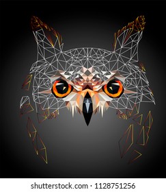 Low poly triangular and wireframe owl face on dark background, symmetrical vector illustration EPS 10 isolated.  Polygonal style trendy modern logo design. Suitable for printing on a t-shirt.
