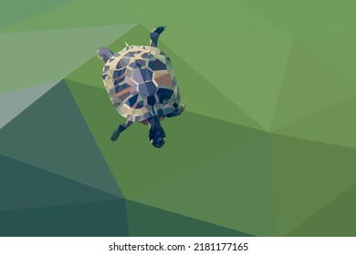 Low poly turtle swim in a pond. Green water. Summer. Top view. Vector