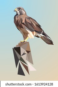 Low Poly Vector Animal Of An Eagle In High Details. With Light Blue And Brown Color Background. EPS 10. Ideal For Illustration, Wall Decoration Or T-shirts.