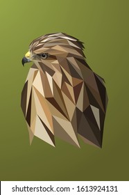 Low poly Vector animal of an eagle in high details. With green color background. EPS 10. Ideal for illustration, wall decoration or t-shirts.