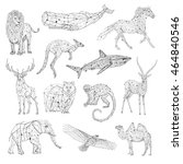 Low poly vector animals set: stylized linear wire construction concept. Polygon outline isolated illustrations , geometrical triangles, linear connection