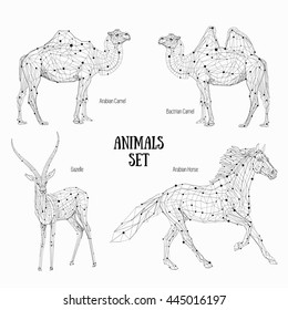 Low poly vector animals set: stylized linear wire construction concept. Polygon outline isolated illustrations, geometrical triangles, linear connection. Animals of Arabian countries