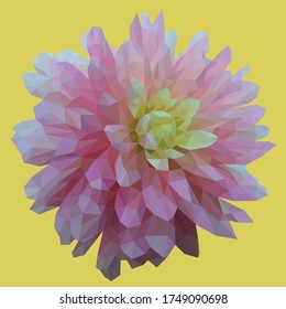 Low-Poly-Vektorgrafik einer blühenden rosa weißen Blume. Von vorn gesehen.