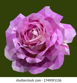 Low poly vector of a blooming pink white rose. Seen from front direction.