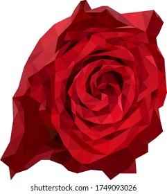 Low poly vector of a blooming red rose. Seen from front direction.