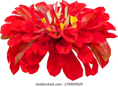 Low poly vector of a blooming red white flower. Seen from front direction.